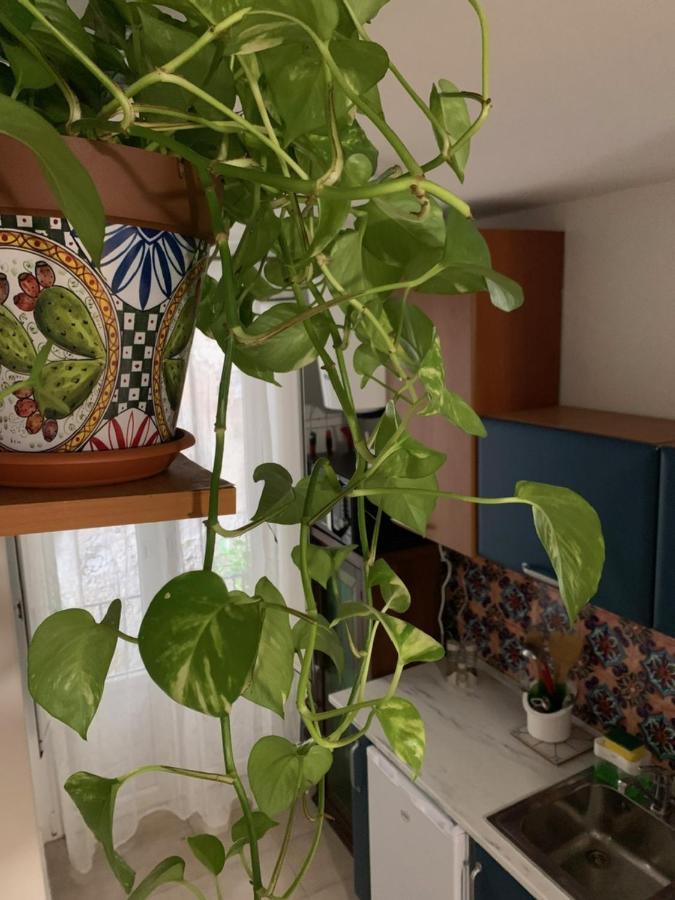 La Giara Apartman Palermo Kültér fotó